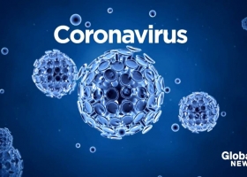 Novedades Coronavirus